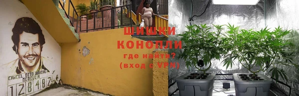 каннабис Абаза