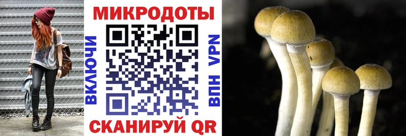 Псилоцибиновые грибы GOLDEN TEACHER  купить  сайты  Дербент 