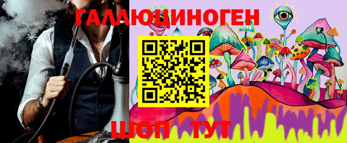 Псилоцибиновые грибы Psilocybe Дербент